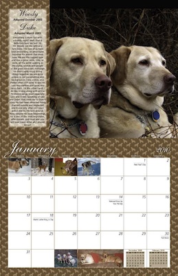 calendar
