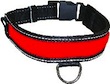 Self Illuminated Collar