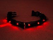 Visi-Pet Collar