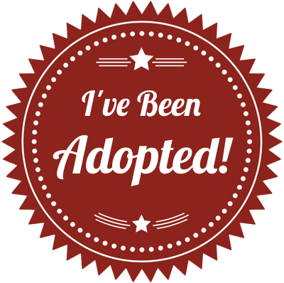 Badge ive been adopted